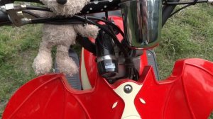 Детский электрический квадроцикл. Обзор / Children's electric Quad bike. Overview