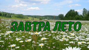 Завтра лето. Видео открытка