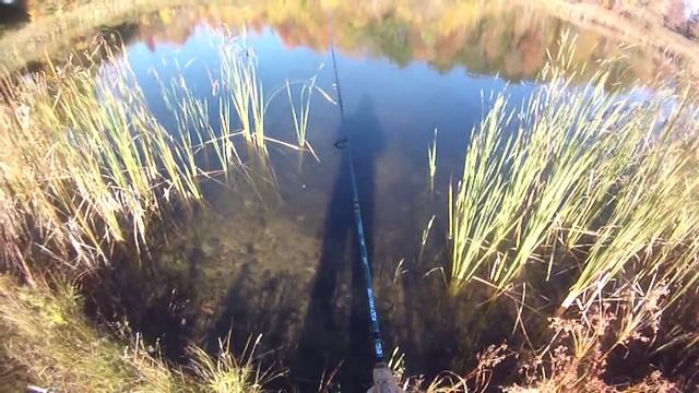 Lure Fishing #85 - Berkley Gulp Minnow Jig Fishing for Pond Crappie and River Walleye смотреть онлайн