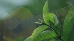 И. Тальков "Летний дождь", cover