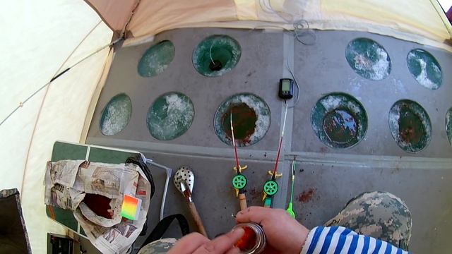 Зимняя рыбалка на сига.Техника ловли и результат порадовал. смотреть онлайн