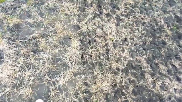 Борона-мотыга ротационная МРН-8,6 (Компания Сармат) смотреть онлайн