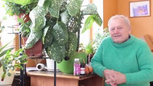 Как создать плодородную почву для Райского Сада за 1-2 года. Совет Айболита.