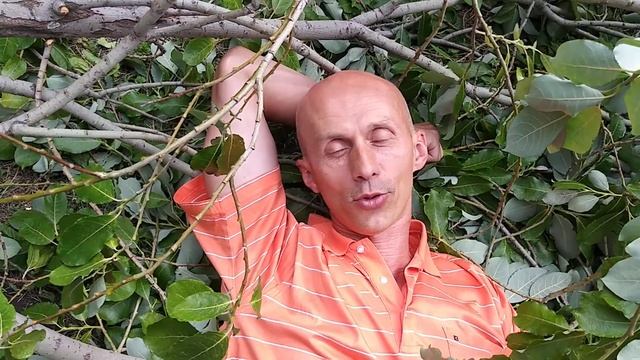 Раскрепощающие йога и цигун в наших турах-тренингах смотреть онлайн