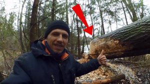 В ДЕРЕВНЕ  С ДРОВАМИ  ПОМОГУТ БОБРЫ //  ПОЕЗДКА НА ОЗЕРО И РОДНИК