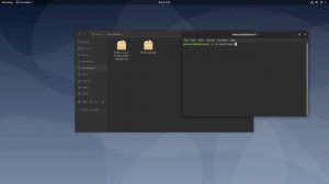 How to install Forge on Linux {tutorial | Debian etc.}