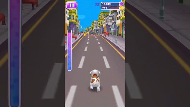 Puppy RUN game for children. смотреть онлайн