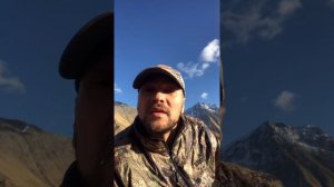 Охота на трофейного тура в Дагестане