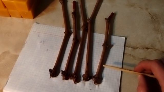 Подготовка черенков винограда к укоренению.