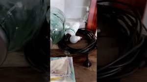 Отзыв покупателя о покупке "попугая на банку"