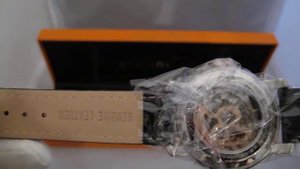 Обзор мужских наручных часов  Stuhrling Classic Delphi Automatic Skeleton 169.33R569