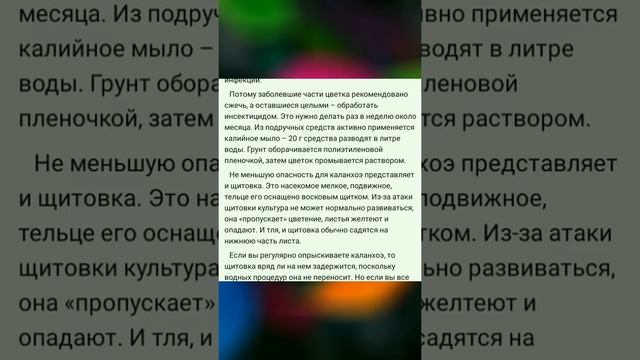 Тля домашняя: тля на комнатных растениях. смотреть онлайн