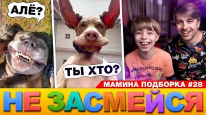 СОБАКИ, ЛЮДИ И КОТЫ! // НЕ ЗАСМЕЙСЯ ЧЕЛЛЕНДЖ или ТЕСТ НА ПСИХИКУ! Мамина подборка #28