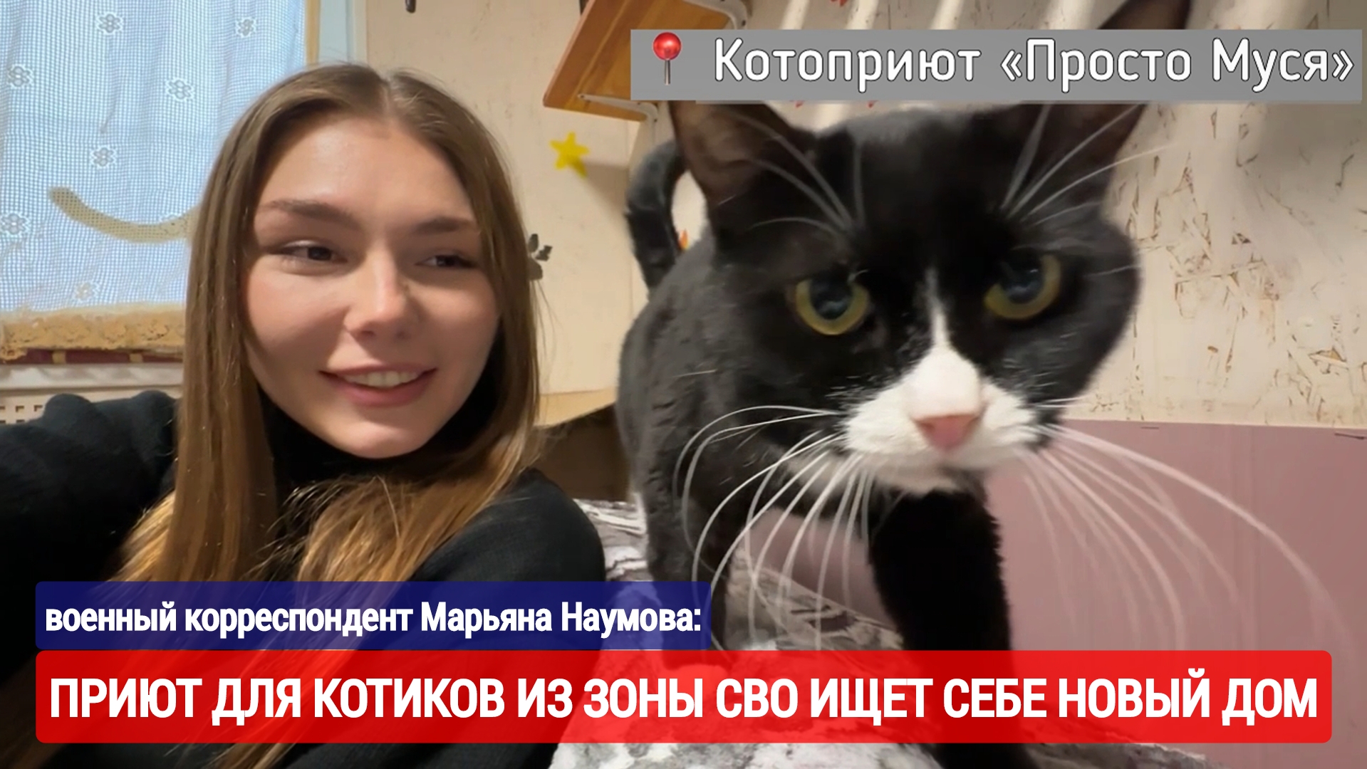 ПРИЮТ ДЛЯ КОТИКОВ ИЗ ЗОНЫ СВО ИЩЕТ СЕБЕ НОВЫЙ ДОМ : приют Просто Муся и военкор Марьяна Наумова
