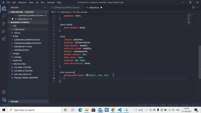 CSS Tutorial for Beginners - Part II