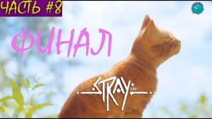 Stray #8 ➤ Часть #8 Финал