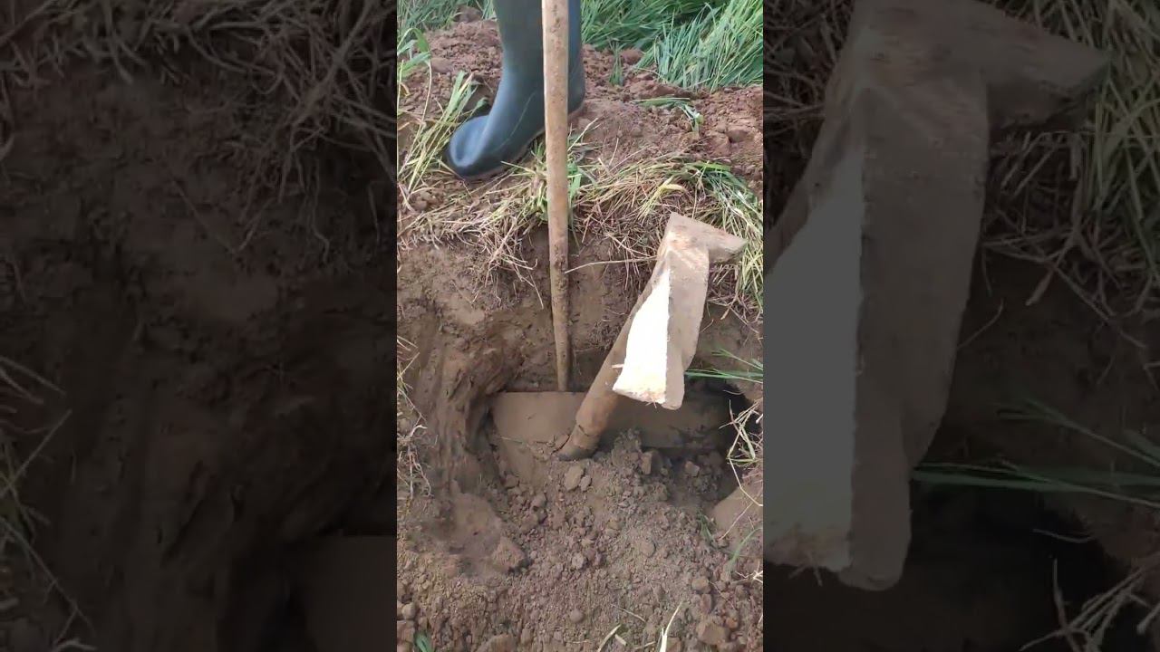 #quest #metaldetecting  И такие находки бывают. смотреть онлайн