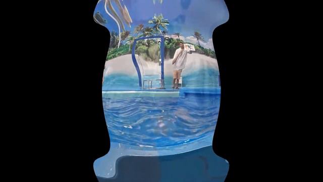 Дельфинарий в Джубге. Чудесное представление для семейного отдыха. смотреть онлайн