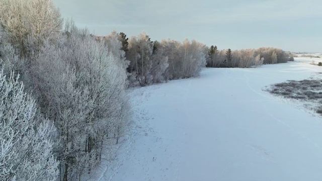 Акколь - Зимний лес - Рассвет