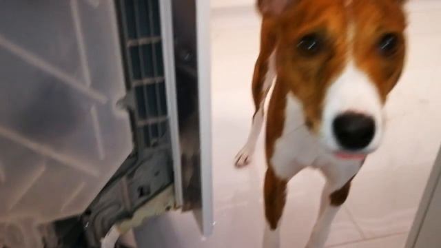 Посудомоечная машина Bosch Siemens, ошибка e19, часть 2 смотреть онлайн