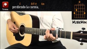 LA HORMIGUITA ?? - Juan Luis Guerra y la 4 40 / GUITARRA / MusikMan N°029