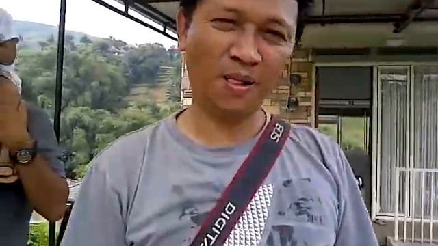 Neofelis nebulosa reunion смотреть онлайн