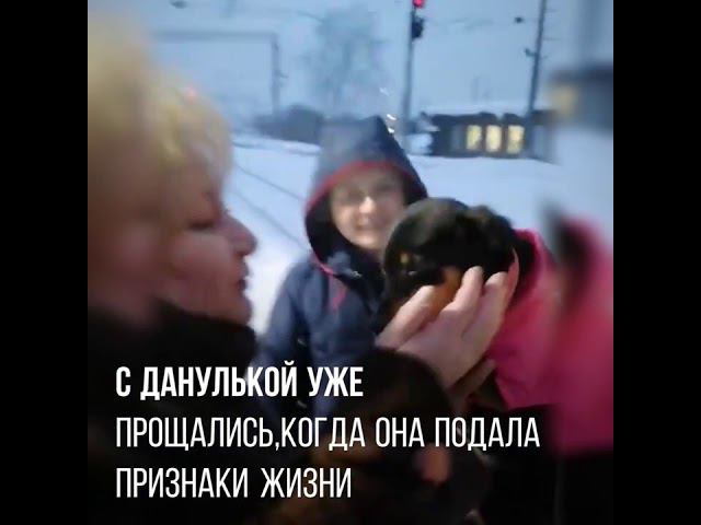 До слёз! Трогательные встречи бывших бездомышей и новых хозяев