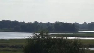 Природа Саратовской области. Марксовский район. ( Видео 3)