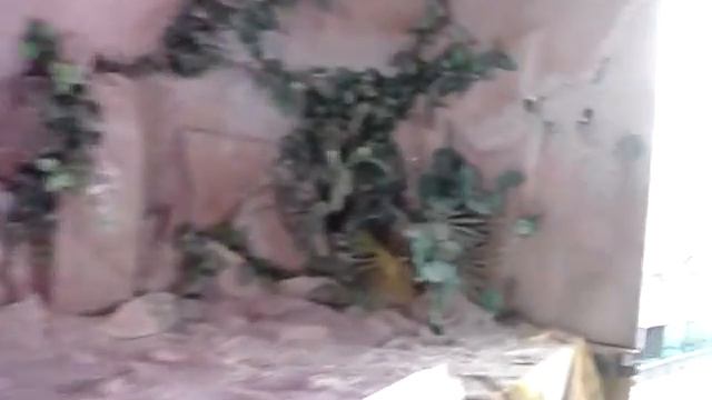 Astana, Kazakhstan, 2014 смотреть онлайн