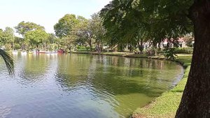 Люмпини парк в Бангкоке с варанами