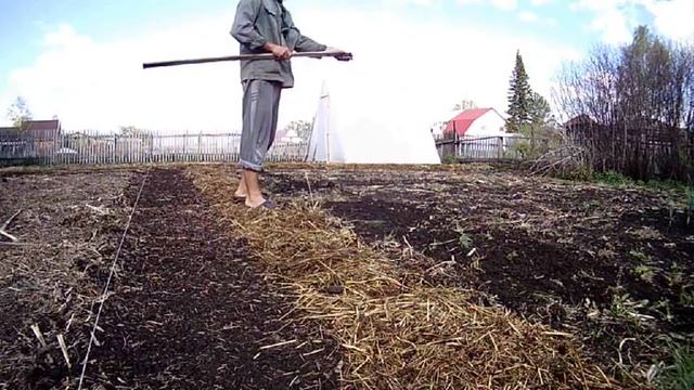 Вот ЧТО БУДЕТ, ЕСЛИ не копать огород пять лет. Огород без копки. Органическое земледелие в Сибири смотреть онлайн