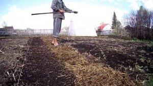 Вот ЧТО БУДЕТ, ЕСЛИ не копать огород пять лет. Огород без копки. Органическое земледелие в Сибири