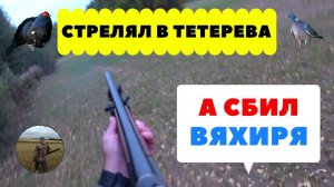 Стрелял в тетерева а попал в Вяхиря.