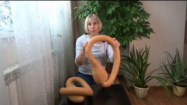 Тыквы. Вкусные и урожайные сорта. Итог 2019. Огород в Сибири смотреть онлайн