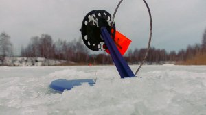 Флаги стали стрелять по рассвету, по погода внесла свою коррективу