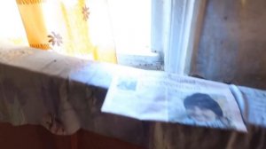 Деревни в глубинке Костромской области. Покинутые дома на болоте. Заброшенная деревня в лесу
