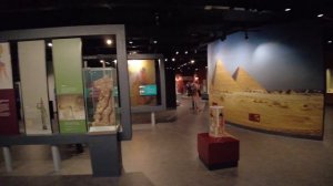 Exploring the World Museum in Liverpool | Ancient Egypt Expedition, Meteorites & Mummies!