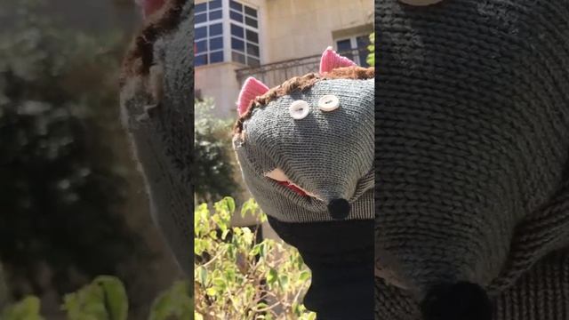 Ёжик Боря прогулка по Тель-Авиву смотреть онлайн