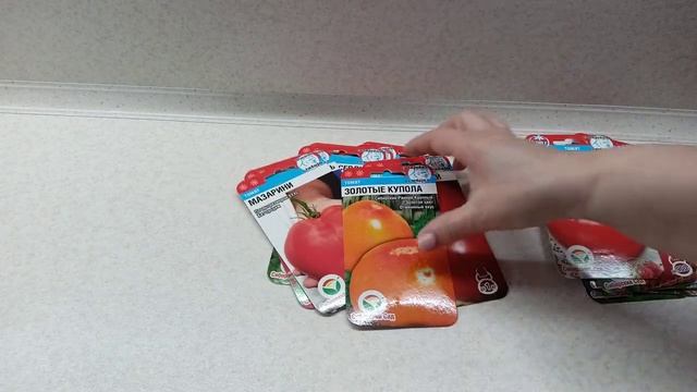 Сортовые томаты с плодами-гигантами.м-н ДАЧА г.Каменск-Уральский.23.01.2023 смотреть онлайн