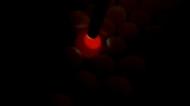 Результат овоскопирования куриных яиц от Алексея "пернатый дозор" смотреть онлайн