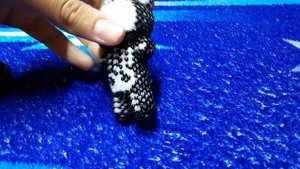 кото-скелет из бисера.??