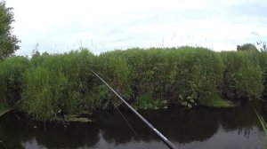 В этом ручье я еще таких не ловил, Вот так ручей!!!Рыбалка на спиннинг.