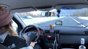 Невероятный Fiat Stilo вне конкуренции// Тест-драйв.