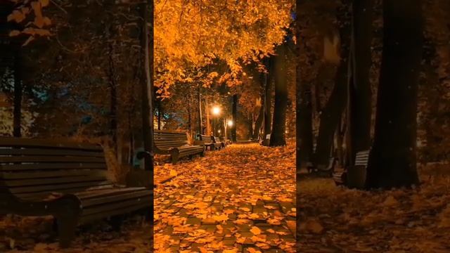 Август — это как вечер воскресенья