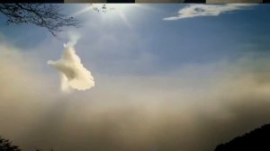 Погадай цыганка мне, погадай мне на ладони    Валерий Палаускас