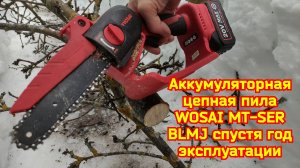 Аккумуляторная цепная пила WOSAI MT-SER BLMJ спустя год эксплуатации