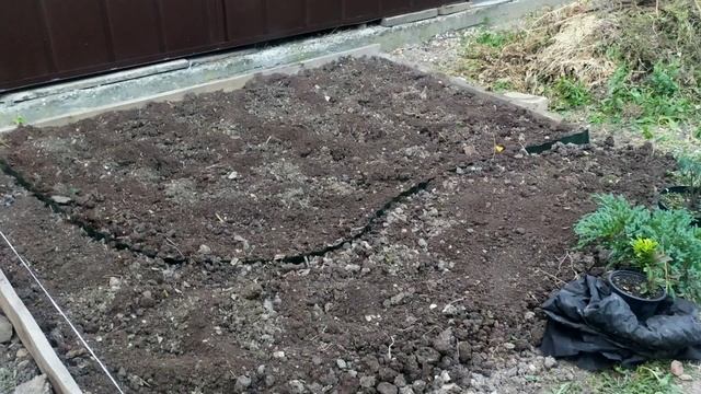 Благоустройство участка. Начало.