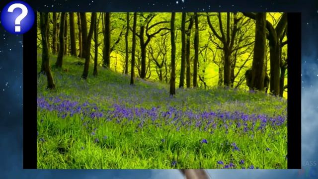 Города-Звезды и звуковая волна. Перезалив смотреть онлайн