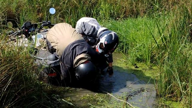 Водяной