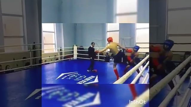 Кикбоксинглоу-кик